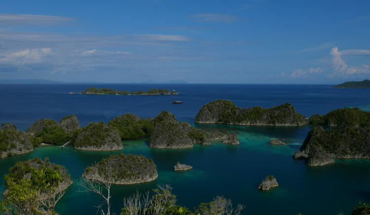 Discover Raja Ampat with Georgia Aquarium 28