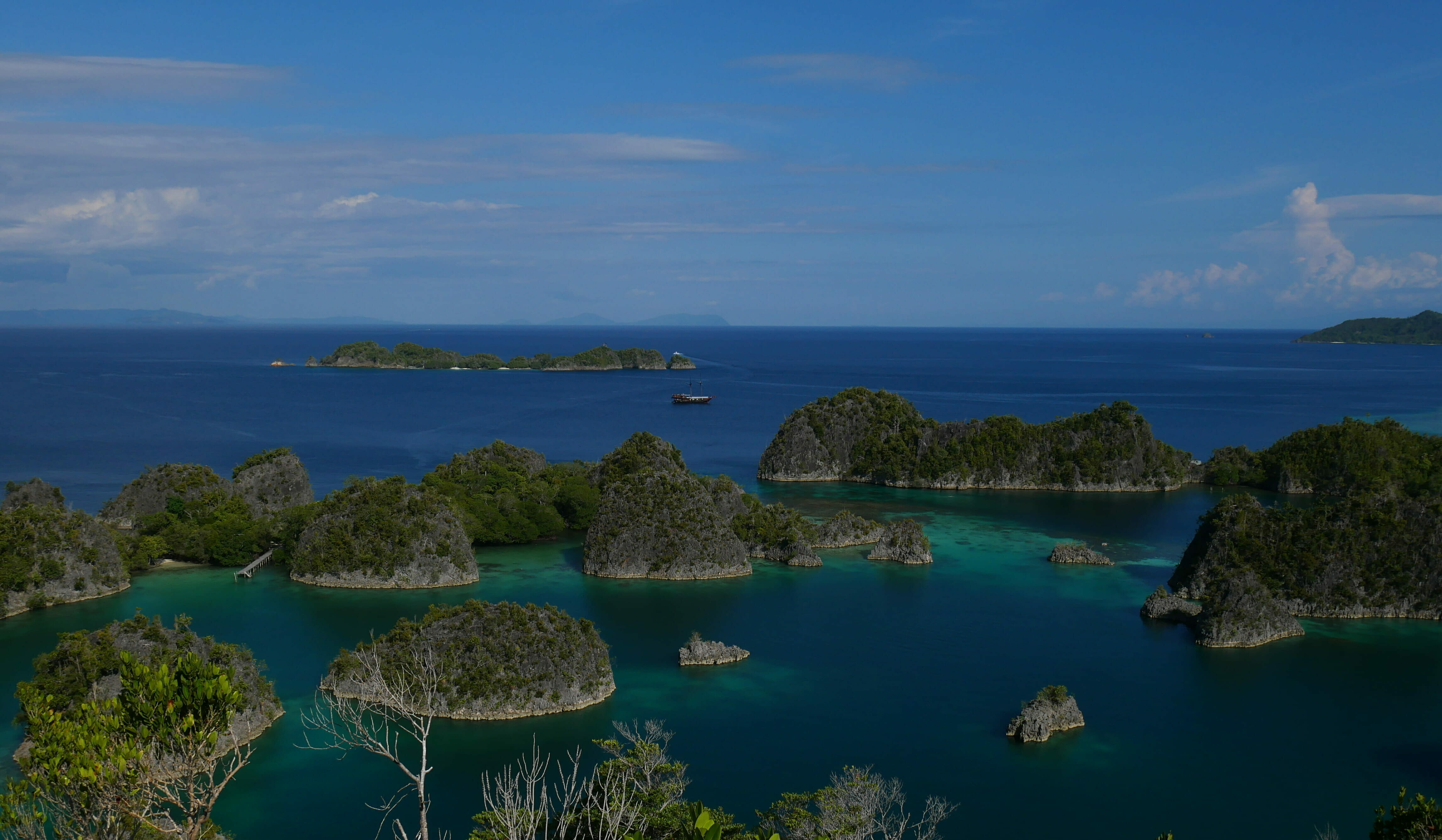 Discover Raja Ampat with Georgia Aquarium 28