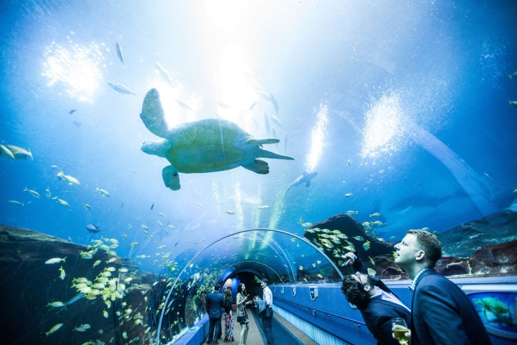 Ocean Voyager Virtual Tour