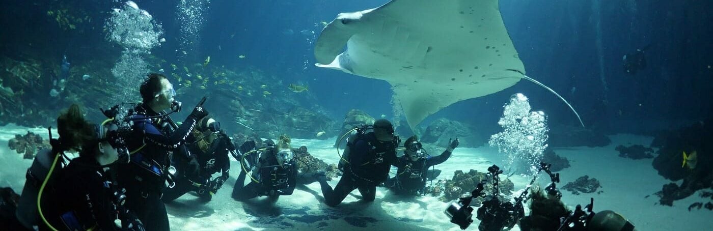 Frequently Asked Questions: Dive Program 1