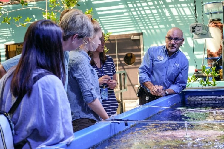 General Volunteer Programs Aquarium