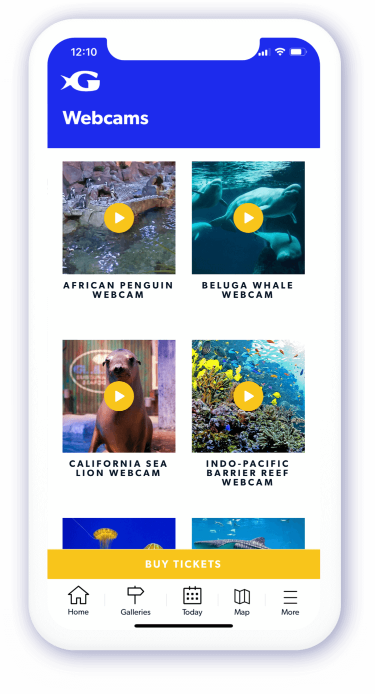 Aquarium Explorer App Aquarium Download Today