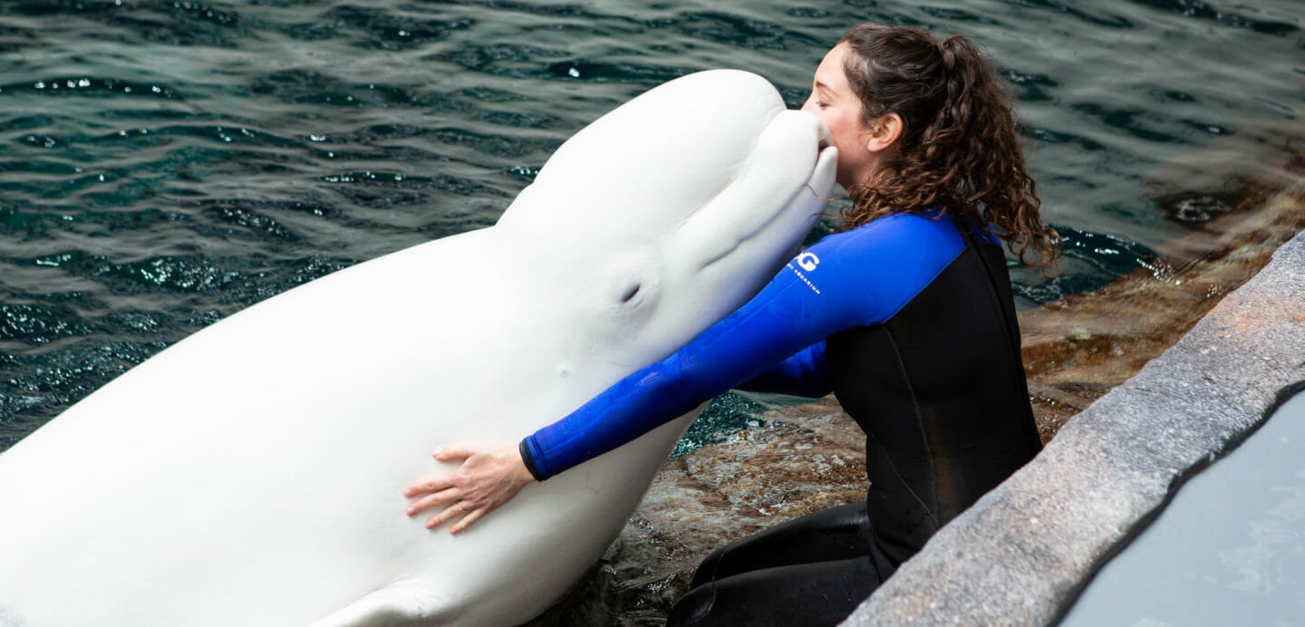 Aquarium Visit Today Aquarium in Downtown Atlanta