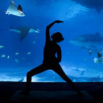 Virtual Yoga by the Water 2