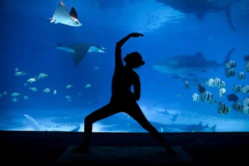 Virtual Yoga by the Water 2