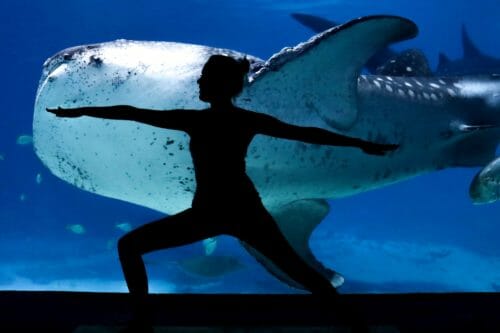 Silhouette of a woman in warrior pose with whale swimming in aquarium behind her