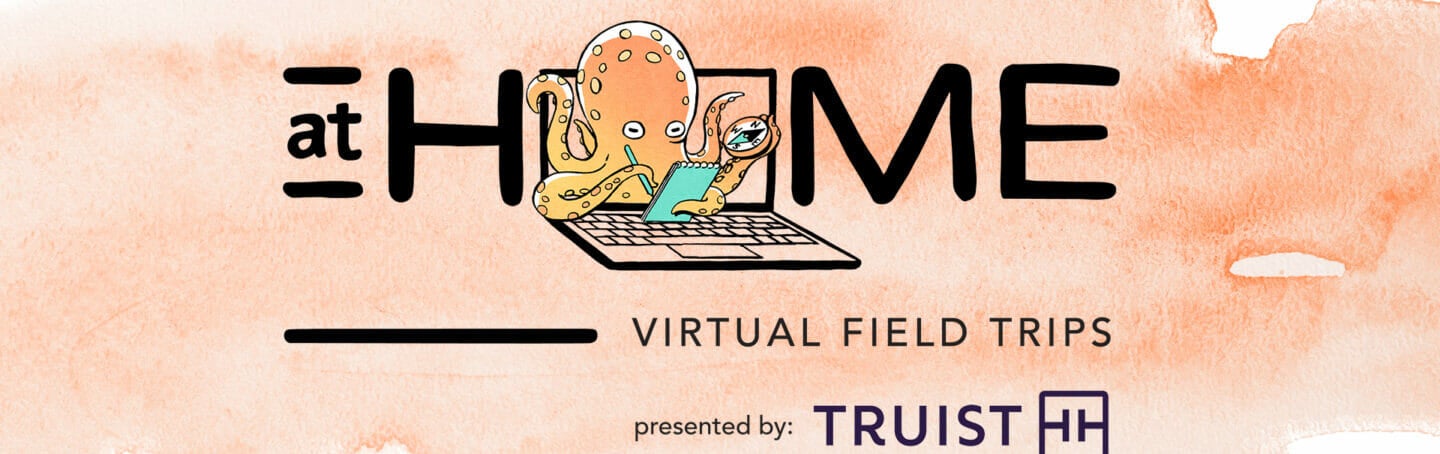 Virtual Field Trips 7