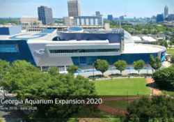 Expansion 2020 3
