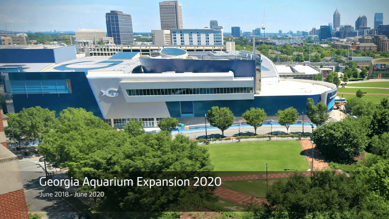 Expansion 2020 3