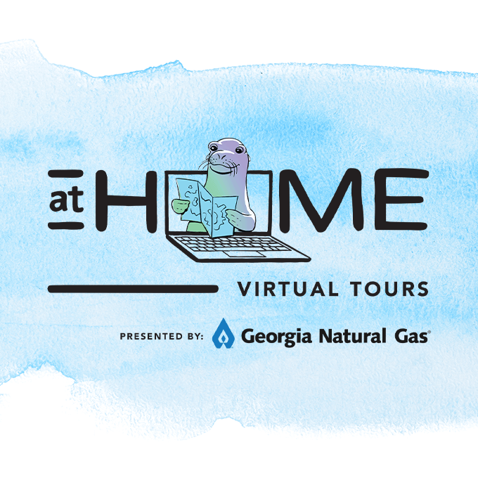 Virtual Tours Logo