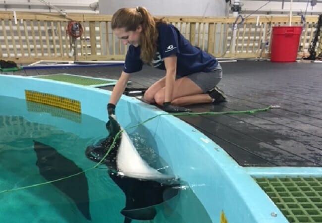 Aquarium Internships - Internships 2