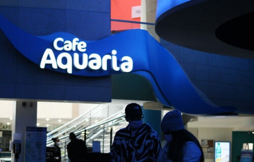Dining at Georgia Aquarium's Café Aquaria 17