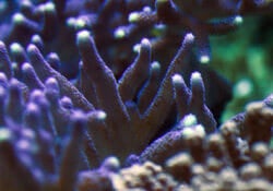 Sensory Needs 1