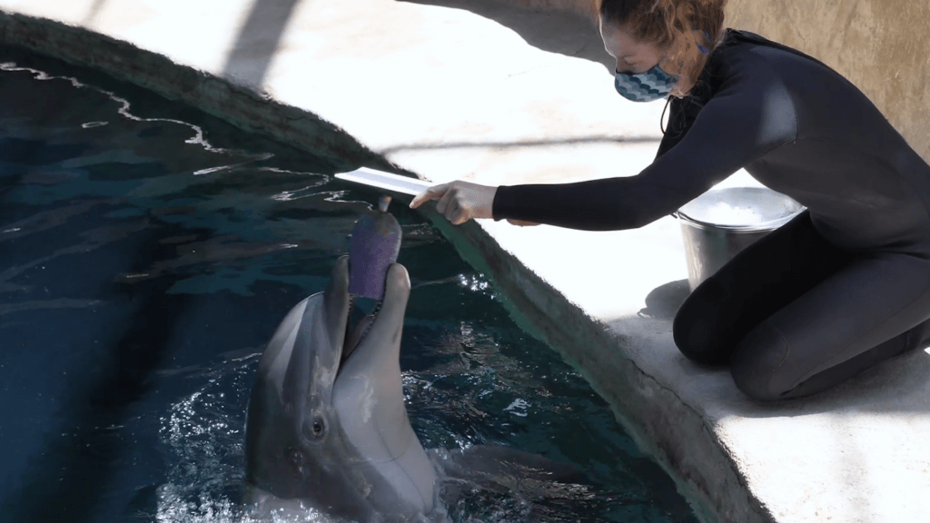 Support Georgia Aquarium 18