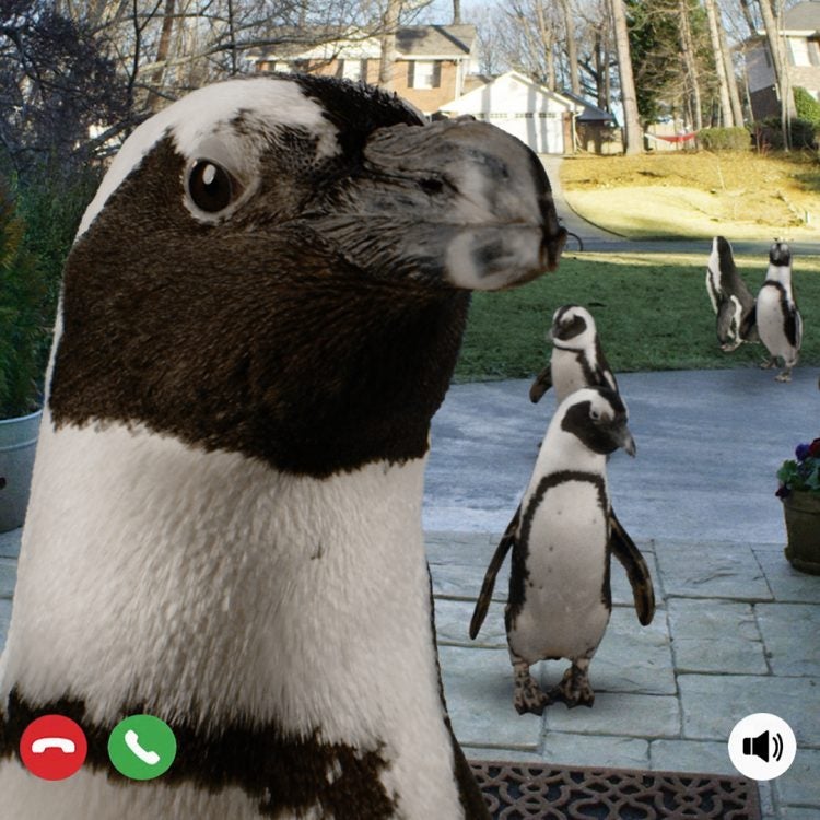 Guided Virtual Tours 12
