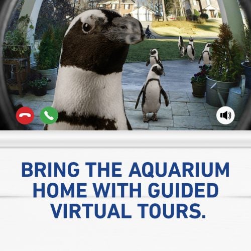 Guided Virtual Tours 11