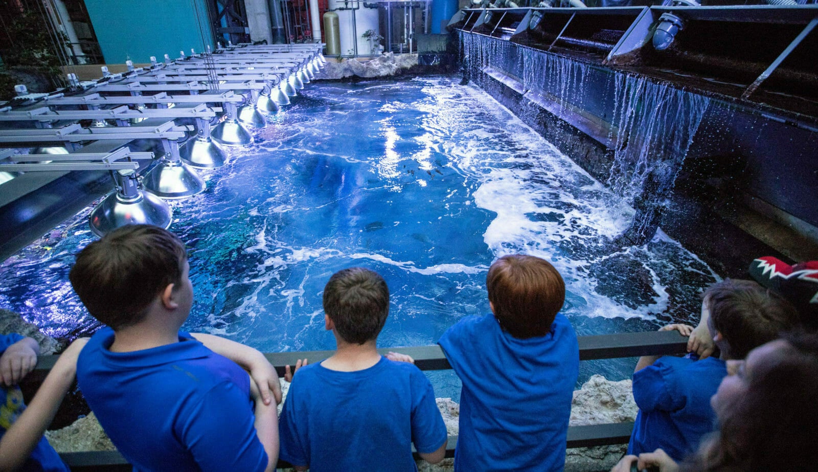 Camp H2O - Week 3 - SOLD OUT | June 21, 2021 | Georgia Aquarium