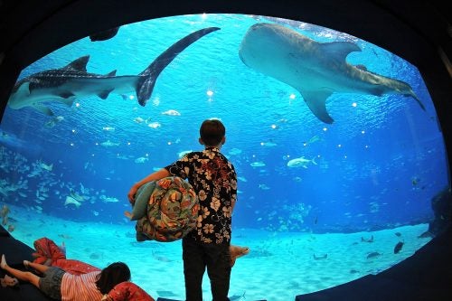 Sleep Under the Sea - TESTING to leverage experience modal