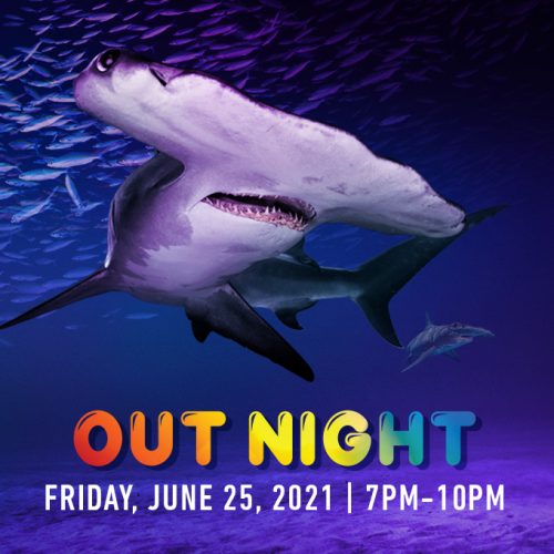 Out Night June 25 2021 Georgia Aquarium