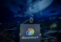 Discovery and Georgia Aquarium Enter Into All-New Multi-Platform Content Partnership