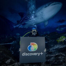 Discovery and Georgia Aquarium Enter Into All-New Multi-Platform Content Partnership