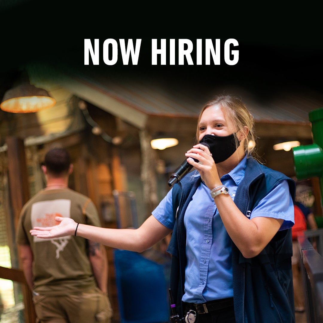 Aquarium Jobs Aquarium