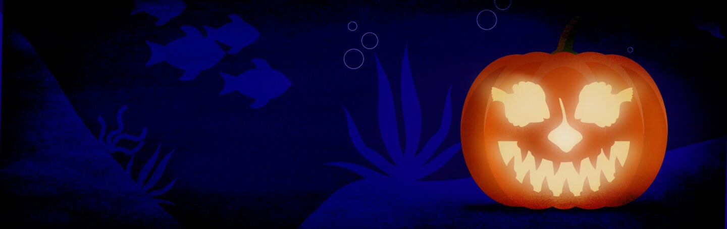 Sips Under the Sea - Halloween 3
