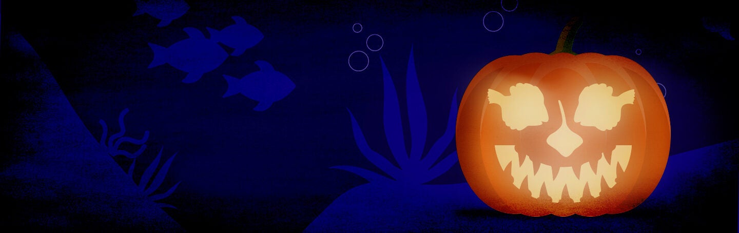 Sips Under the Sea - Halloween 4