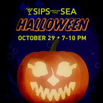 Sips Under the Sea - Halloween 8