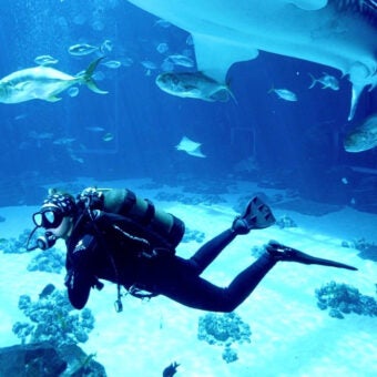 Tuesdays in the Field – Tech to Protect 4