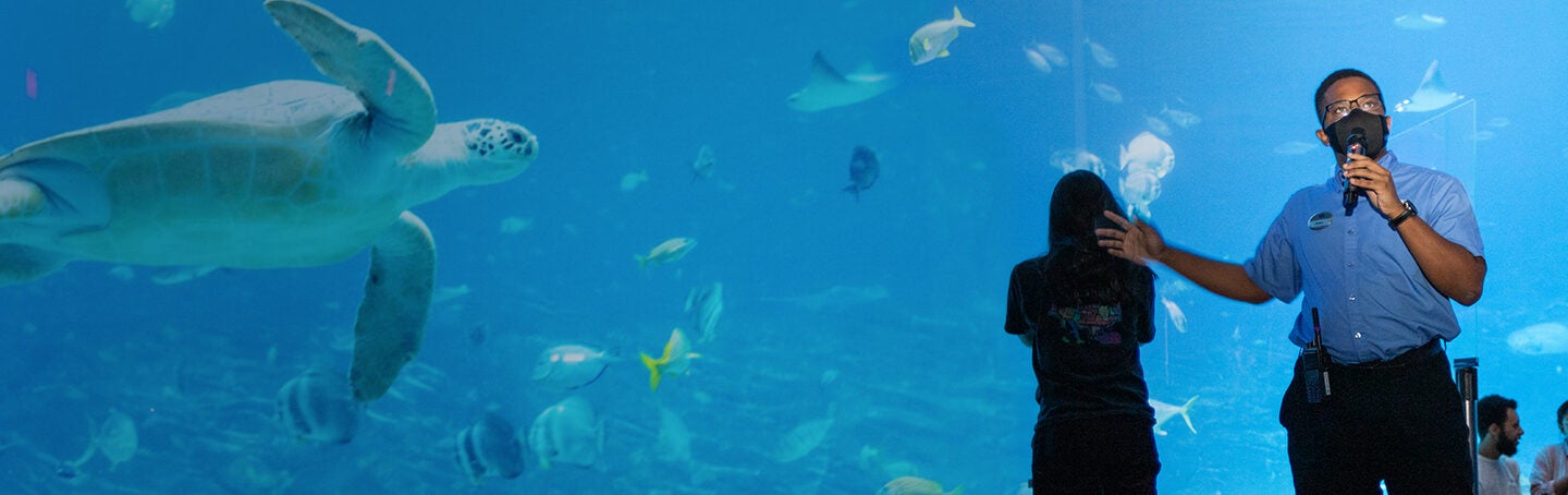 Georgia Aquarium Jobs | Georgia Aquarium Georgia Aquarium Jobs | Georgia Aquarium