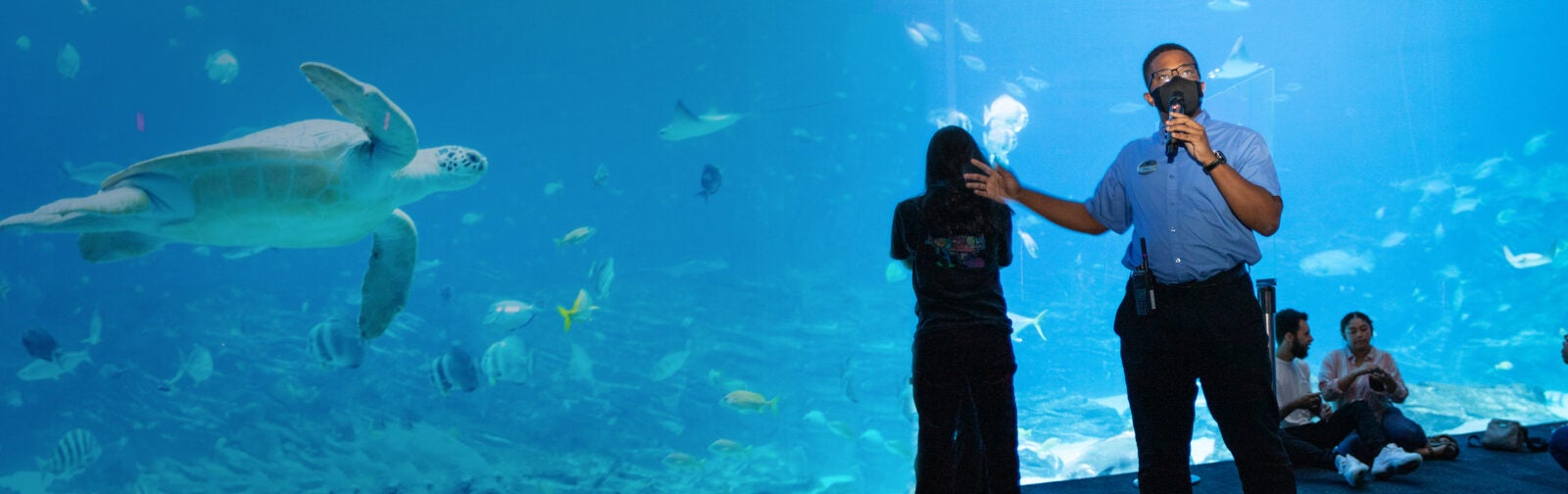 Aquarium Internships Aquarium