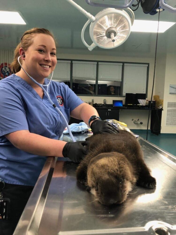 Get to Know Our Vet Techs 2