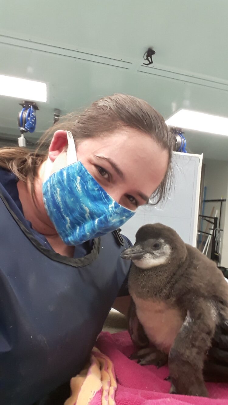 Get to Know Our Vet Techs - Georgia Aquarium