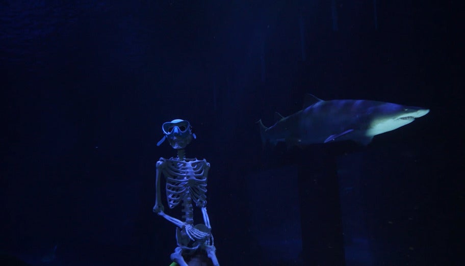Halloween at Georgia Aquarium