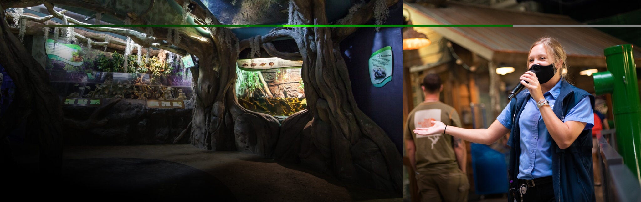 Aquarium Internships Aquarium