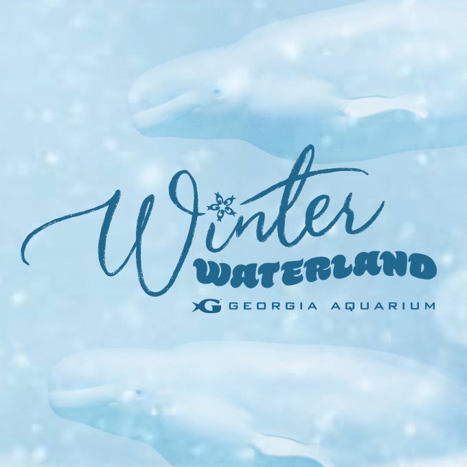Winter Waterland 2021 1