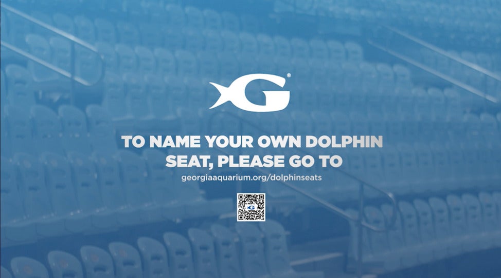 Name Your Own Dolphin Seat
