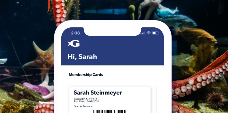Georgia Aquarium Membership 14