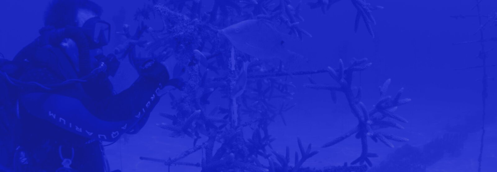 Aquarium Membership Aquarium