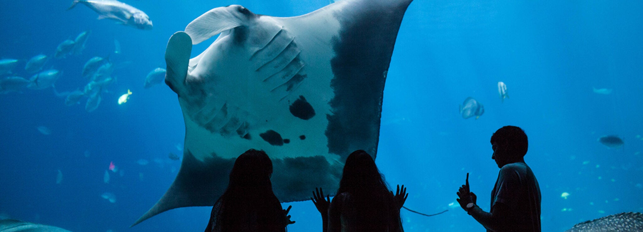 Aquarium Membership Aquarium