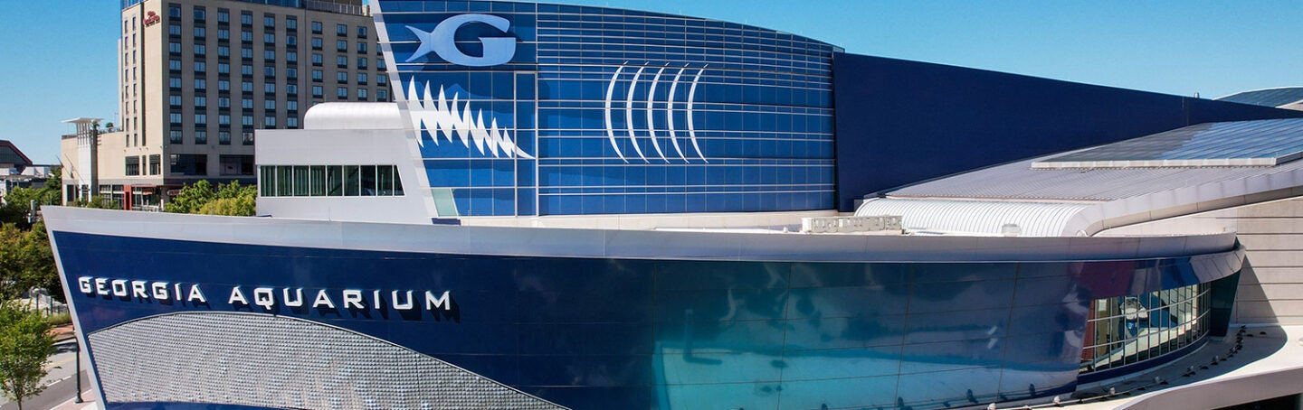 GAI - Exterior