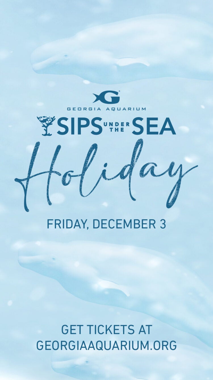 Sips Under the Sea - Holiday 6