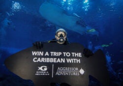 Aggressor Adventures and Georgia Aquarium Partner to Offer Ocean Science Leadership Program