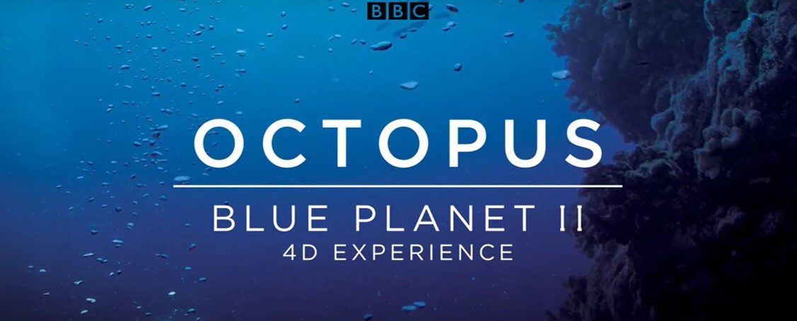 Octopus: Blue Planet II 4D Experience®