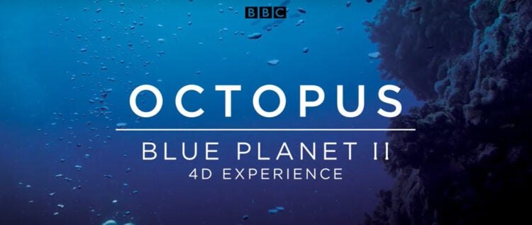 Octopus: Blue Planet II 4D Experience®