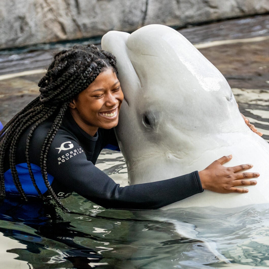 Support Georgia Aquarium