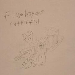 Creative Kids Art Gallery 234