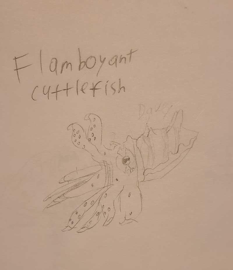 Creative Kids Art Gallery 234
