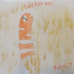 Creative Kids Art Gallery 242